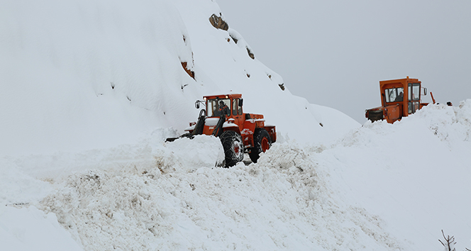 Tunceli’de kardan kapanan 76 köy yolu açıldı, 63&#039;ünde çalışma sürüyor
