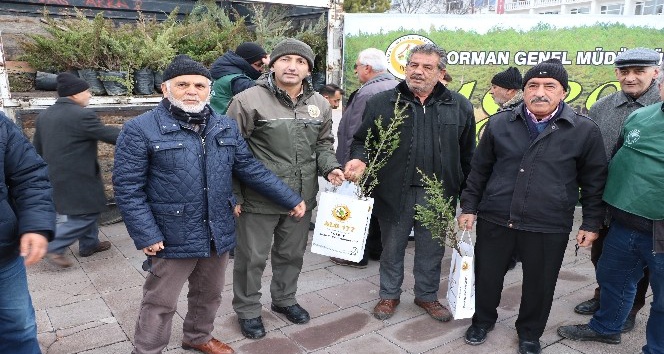 Yozgat’ta 2 bin 20 adet çam fidanı dağıtıldı