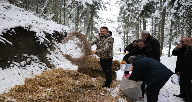Tarım ve Orman Bakanı Pakdemirli yaban hayvanlarına yem bıraktı