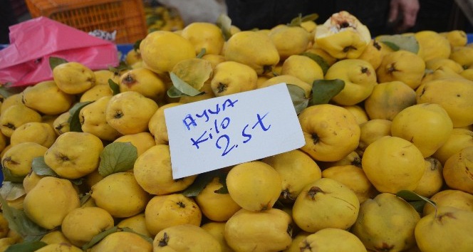 (Özel) Vatandaş ’ayva’nın her türlüsünü yiyor