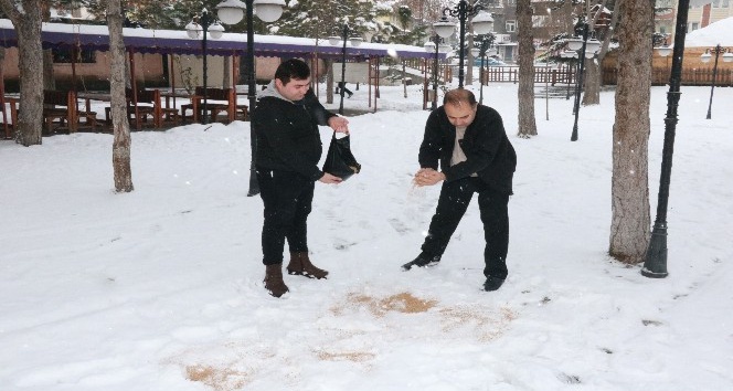 Aç kalan kuşlar için yem bırakıyorlar