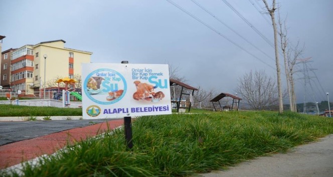 Alaplı’da can dostlar için &quot;Bir kap yemek, bir kap su&quot; projesi