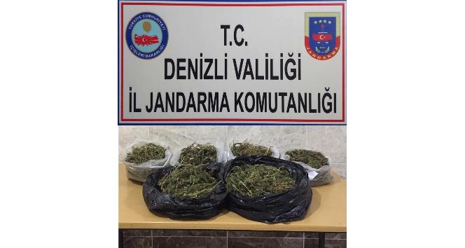 Denizli’de uyuşturucu operasyonu: 1 tutuklama