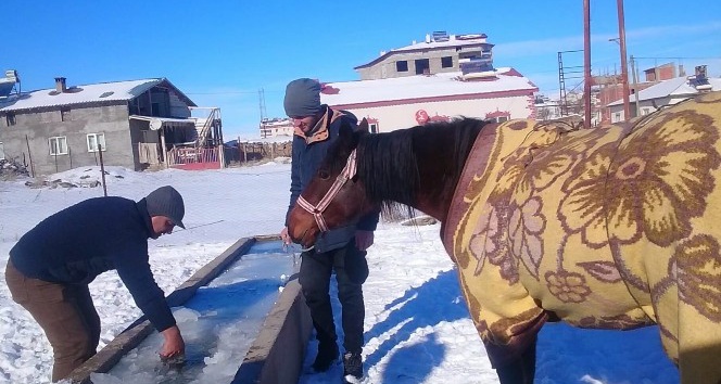 Yalakta ki buzu kırıp atına su içirdi