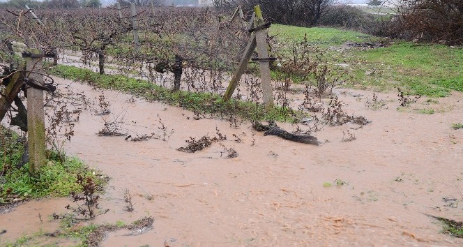Sağanak yağış tarım arazilerini de etkiledi