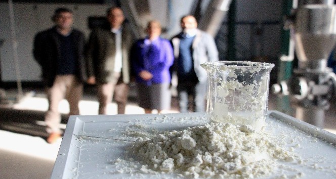 Türkiye’nin ilk ’yerli ağız sütü tozu’ üretildi