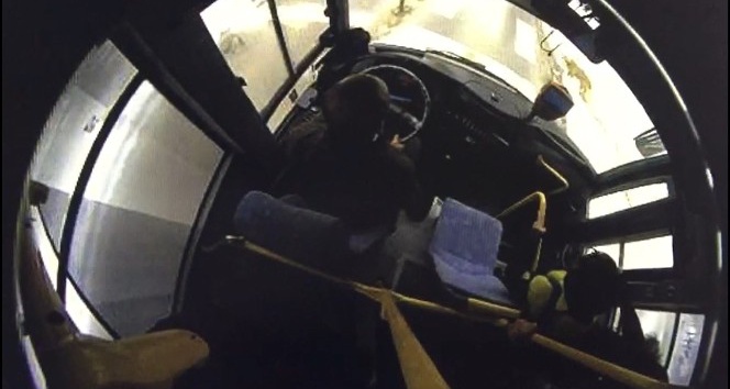 Şoförün, yaya geçidinde bekleyen köpeğe yol vermesi kameralara yansıdı