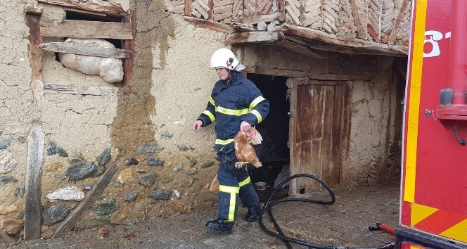 İtfaiye ekipleri yangında tavukları kurtardı