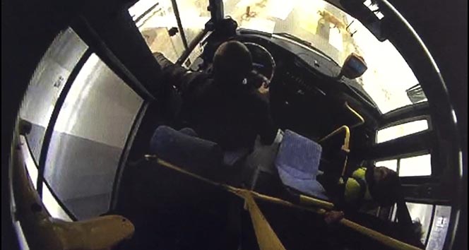 Şoförün, yaya geçidinde bekleyen köpeğe yol vermesi kameralara yansıdı