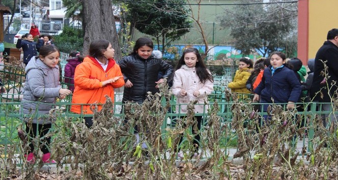 (Özel) Bu da organik okul