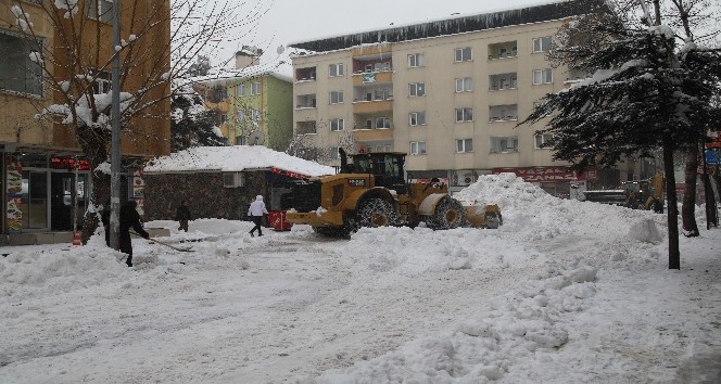 Bingöl’de 650 kamyon kar şehir dışına taşındı