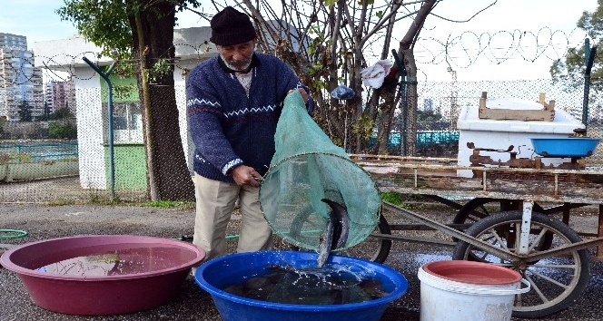 Yayın balığı satarak 2 çocuk okuttu