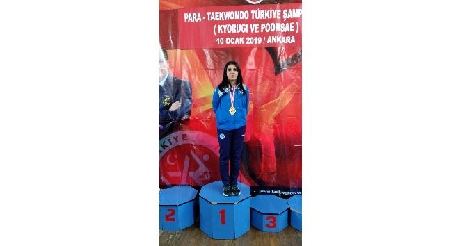 Kağıtsporlu teakwandocu, dünya şampiyonası yolcusu