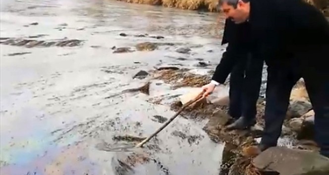 Kızılırmak’ta balık ölümü