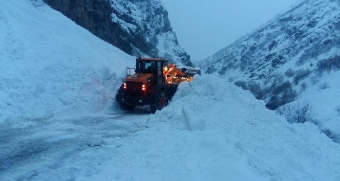 Çığ düşen Tunceli-Erzincan yolu ulaşıma açıldı