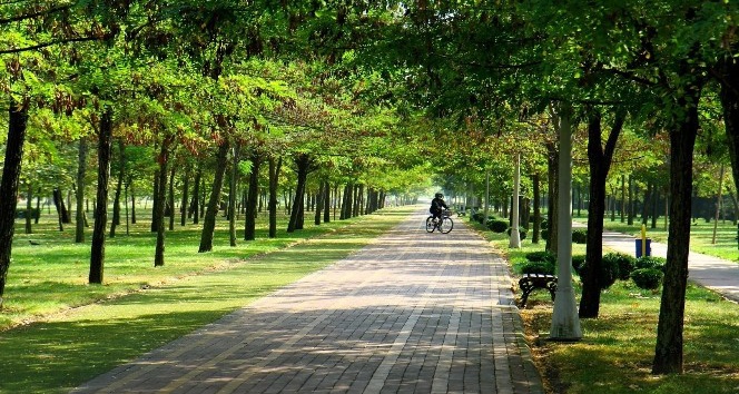 İstanbul’daki yeşil alan oranı; yüzde 2,2