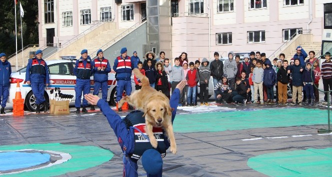Jandarmanın eğitimli köpeklerinden nefes kesen gösteri