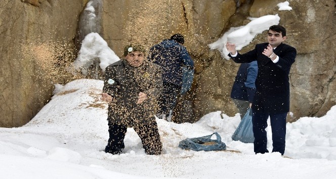 Gümüşhane’de yaban hayatı yemleme çalışmaları devam ediyor