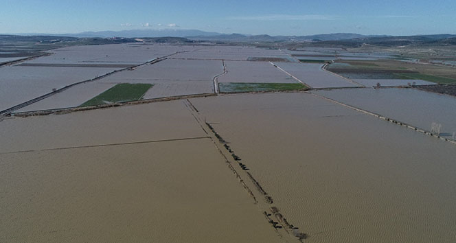 Yağmur ıspanağı vurdu, onlarca dönüm tarım arazisi sular altında