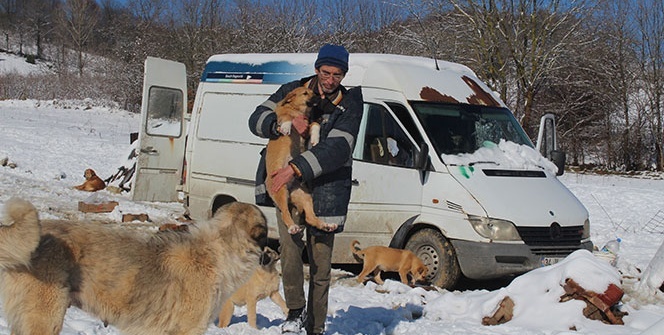 Sokak hayvanlarını beslemek için İstanbul’daki dairesini sattı
