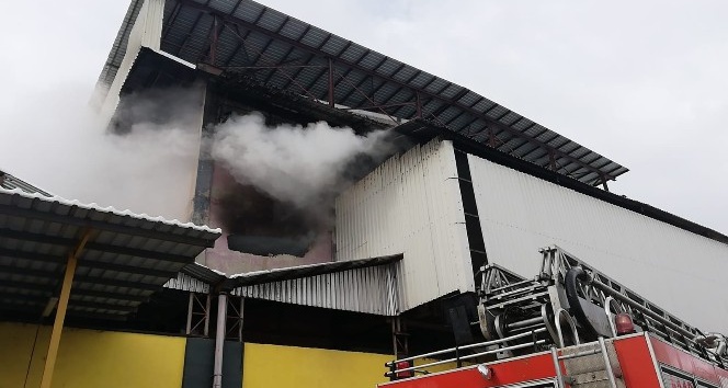 Trabzon’da çay fabrikasında yangın