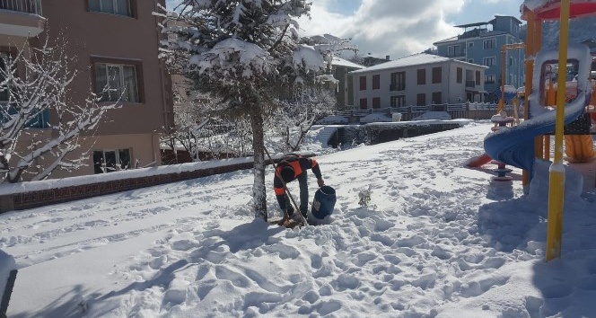 Sokak hayvanları unutulmadı