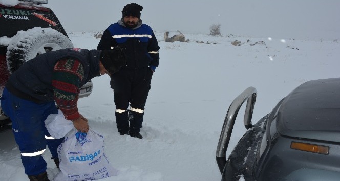 Gençlik merkezleri sokak hayvanlarını unutmadı