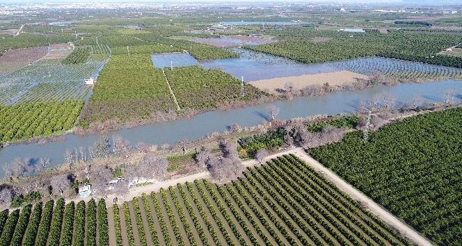 Adana’da binlerce dönüm tarım arazisi sular altında
