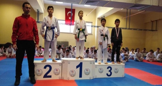 1308 Osmaneli Belediyespor karate takımı 30 madalya kazandı