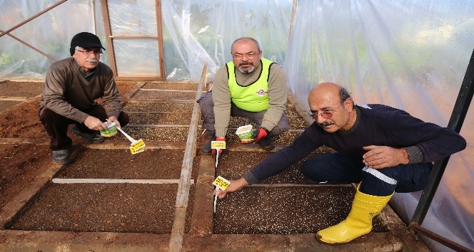 Mezitli Gönüllü Serası’nda tohum ekimi yapıldı