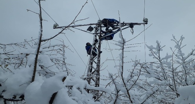 Köylüler elektriksiz kalmasın diye zorlu kış şartlarında direklere tırmandılar