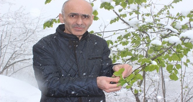Giresun Ziraat Odası Başkanı Karan: “İşinizi şansa bırakmayın, tarım sigortası yaptırın”