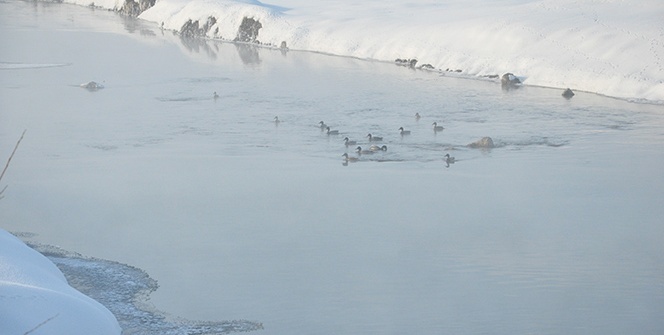 Yüksekova’da kar manzaraları