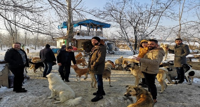 Doğa tutkunları sokak köpeklerini unutmadı