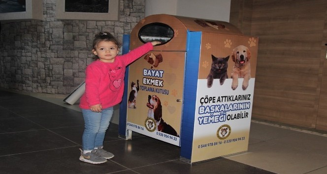 Cizre’de israf önlenecek, sokak hayvanları aç kalmayacak