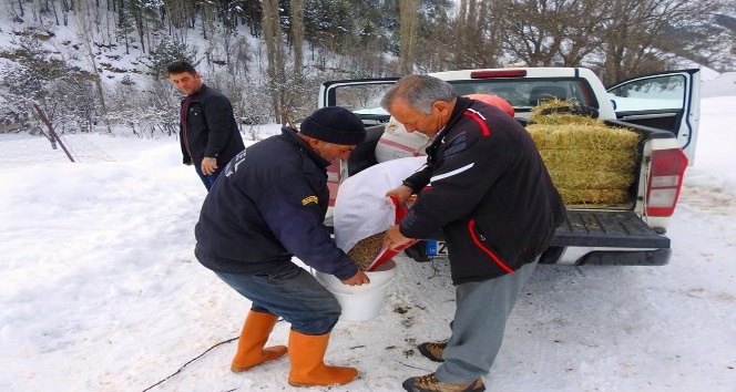 Yabani hayvanlar için doğaya yem bırakılıyor