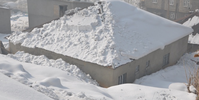 Yüksekova’da hayat dondu