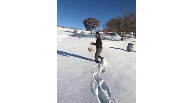 Yaban hayvanları için doğaya yem bırakıldı