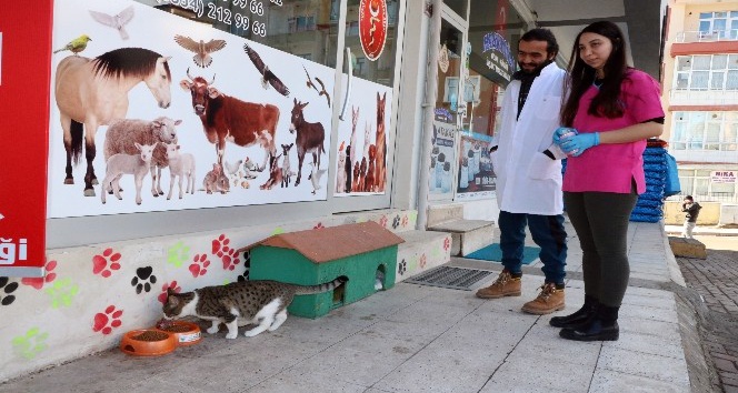 Veteriner çiftten örnek davranış
