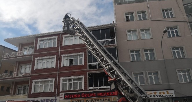 Kaman ilçesinde kedi kurtarama seferberliği
