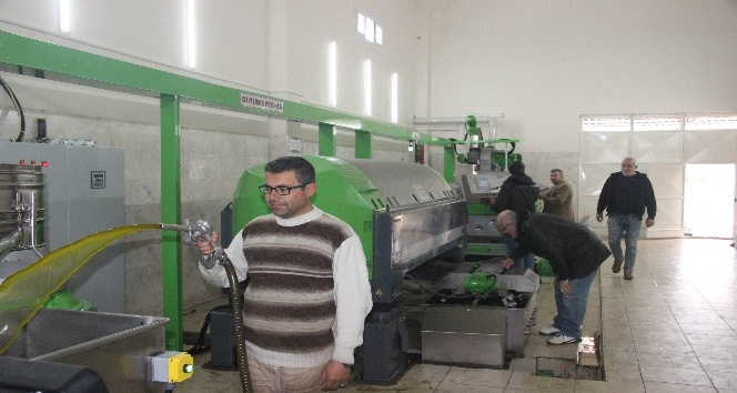 Zeytinyağının fiyatı geçen yıla göre düştü