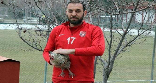 Onun en büyük tutkusu tavuk ve futbol