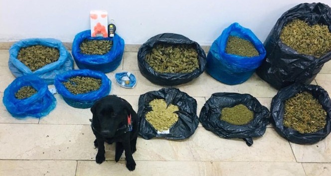 Amasya’da uyuşturucu operasyonu: 16,3 kilo uyuşturucu ele geçildi