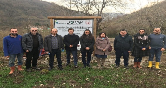 ODÜ’den fındık bahçelerinin yenilenmesine bilimsel destek