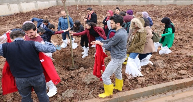 Cizre Kızılay Şubesi şenlendirme projelerine devam ediyor