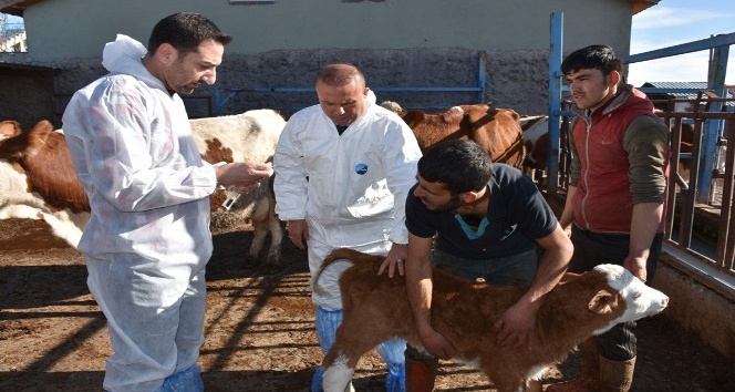 Aksaray’da üreticiler hayvan hastalıkları konusunda bilgilendirildi