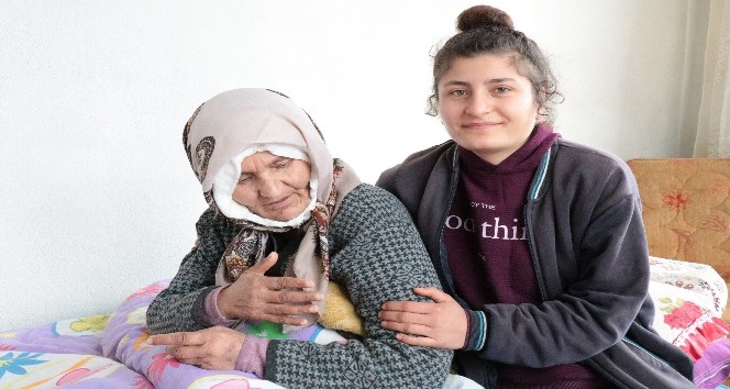 (Özel Haber) Köpeklerin saldırısında ağır yaralanan kadın taburcu oldu