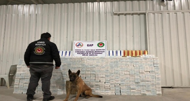 Çobanbey Sınır Kapısı’nda 30 bin paket kaçak sigara ele geçirildi