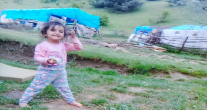 Minik Evrim, 215 gündür kayıp
