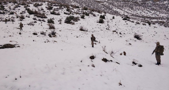 Jandarmadan PKK’nın kış üstlenmesine ağır darbe